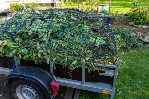 Best Electronics and E-Waste Disposal  in Donora, PA